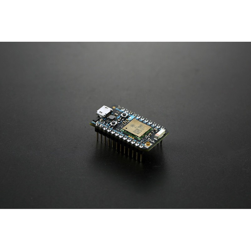 6W4A2487-800x800.jpg